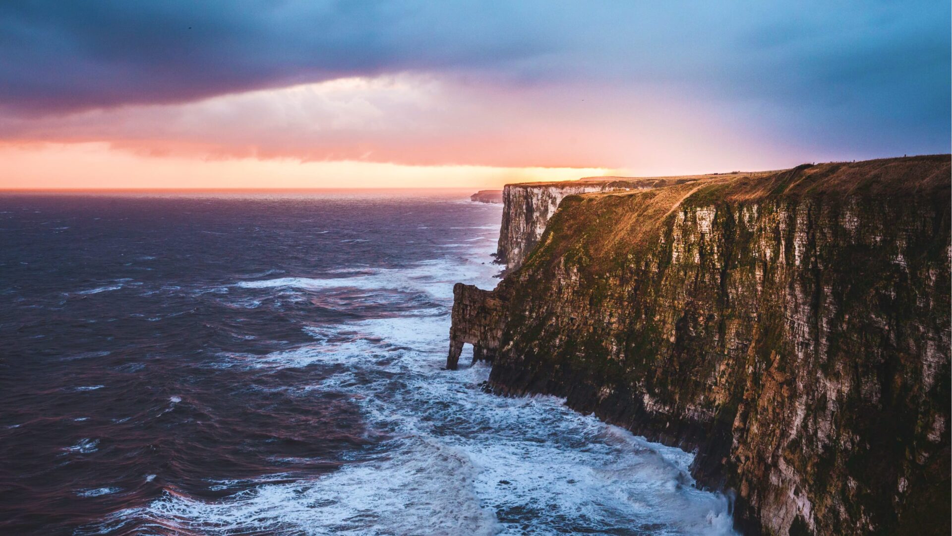 Bempton cliffs UK