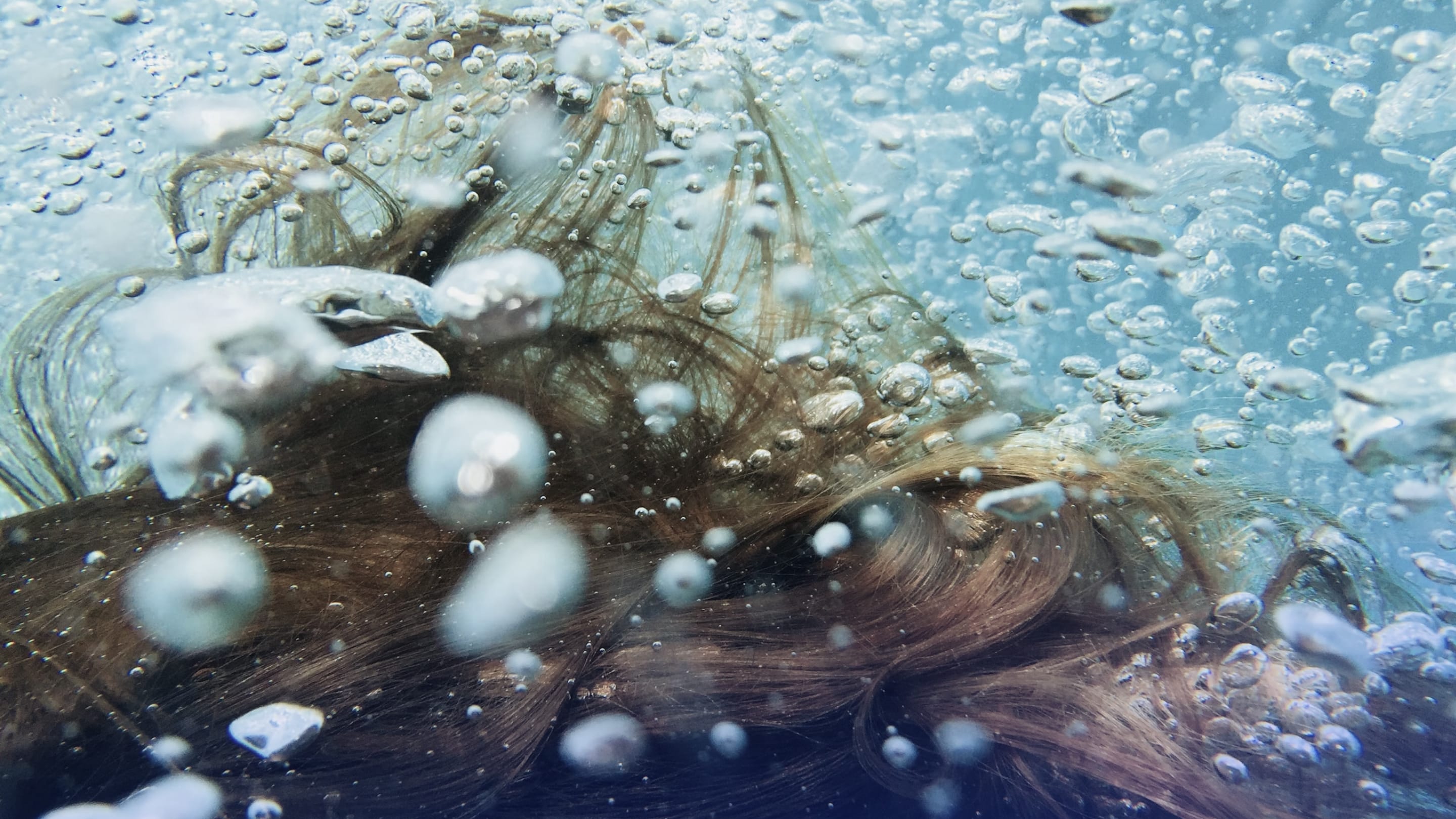 Build products with total immersion